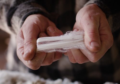 Why Wool Matters Wool Crimp