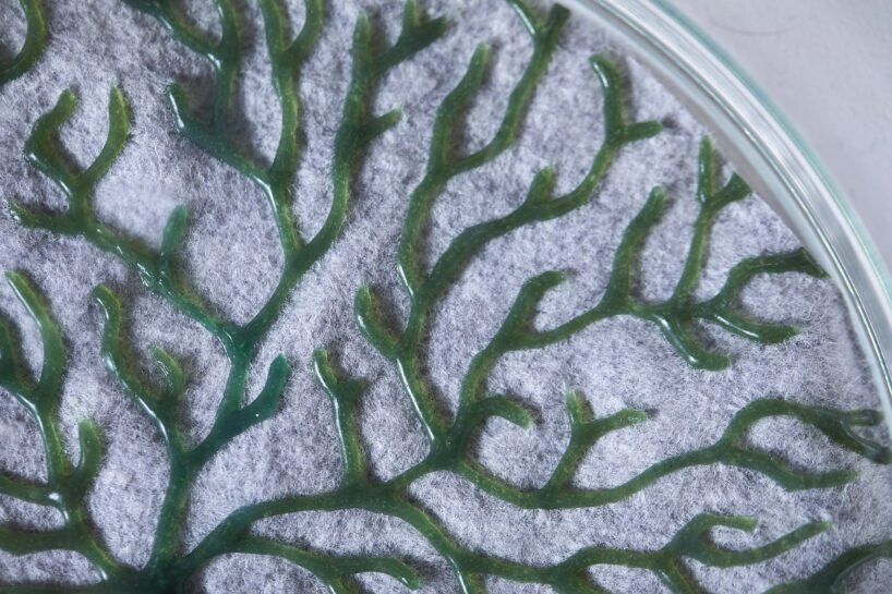 Post Carbon Lab