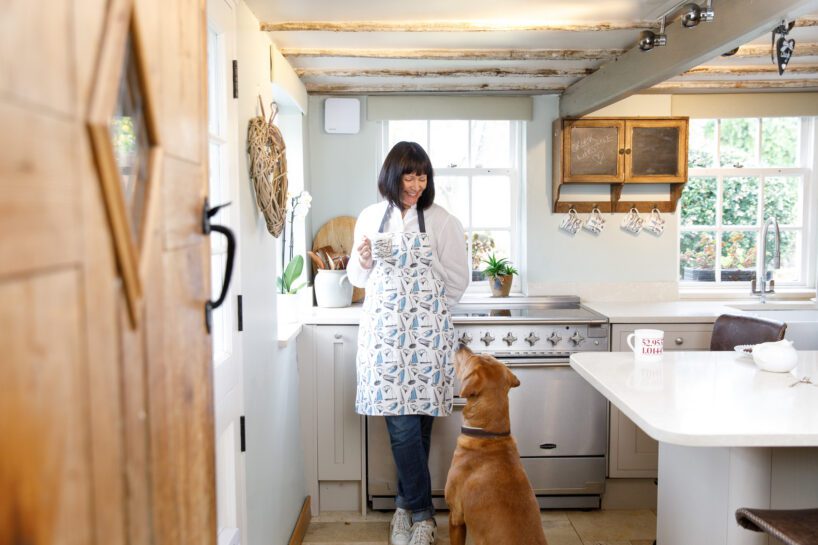 The Cotton Textile Company