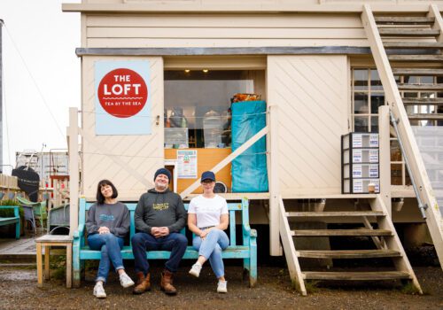 The Cotton Textile Company