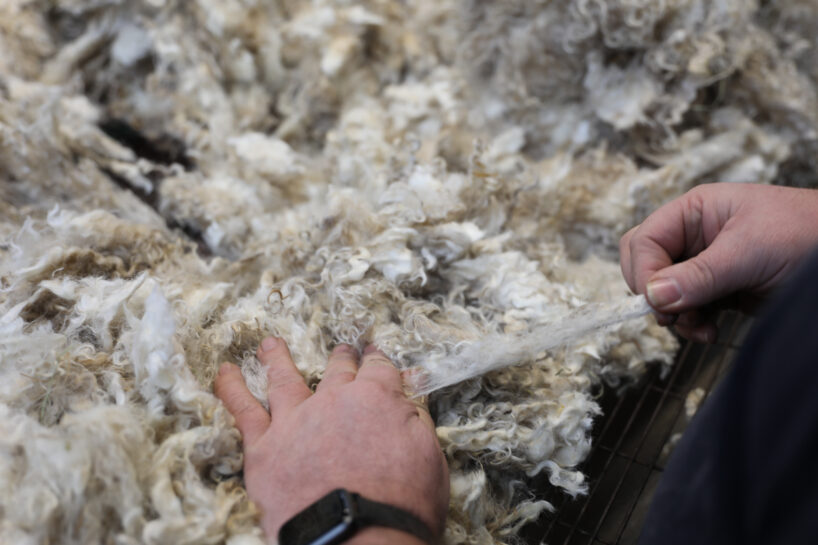 Seal International British Mohair