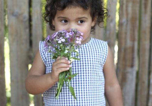 Pigeon Organics SS26